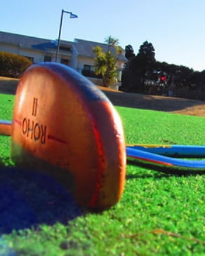 付帯施設：パターゴルフ