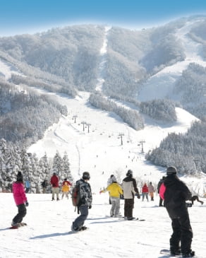 付帯施設：スキージャム勝山