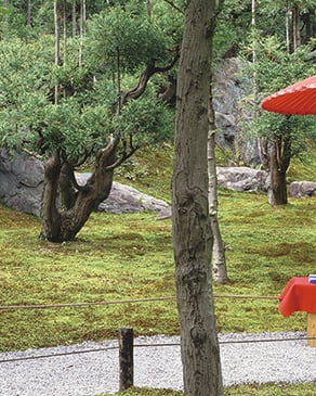 付帯施設：北庭園