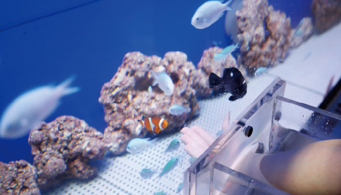 浜名湖体験学習施設 ウォット