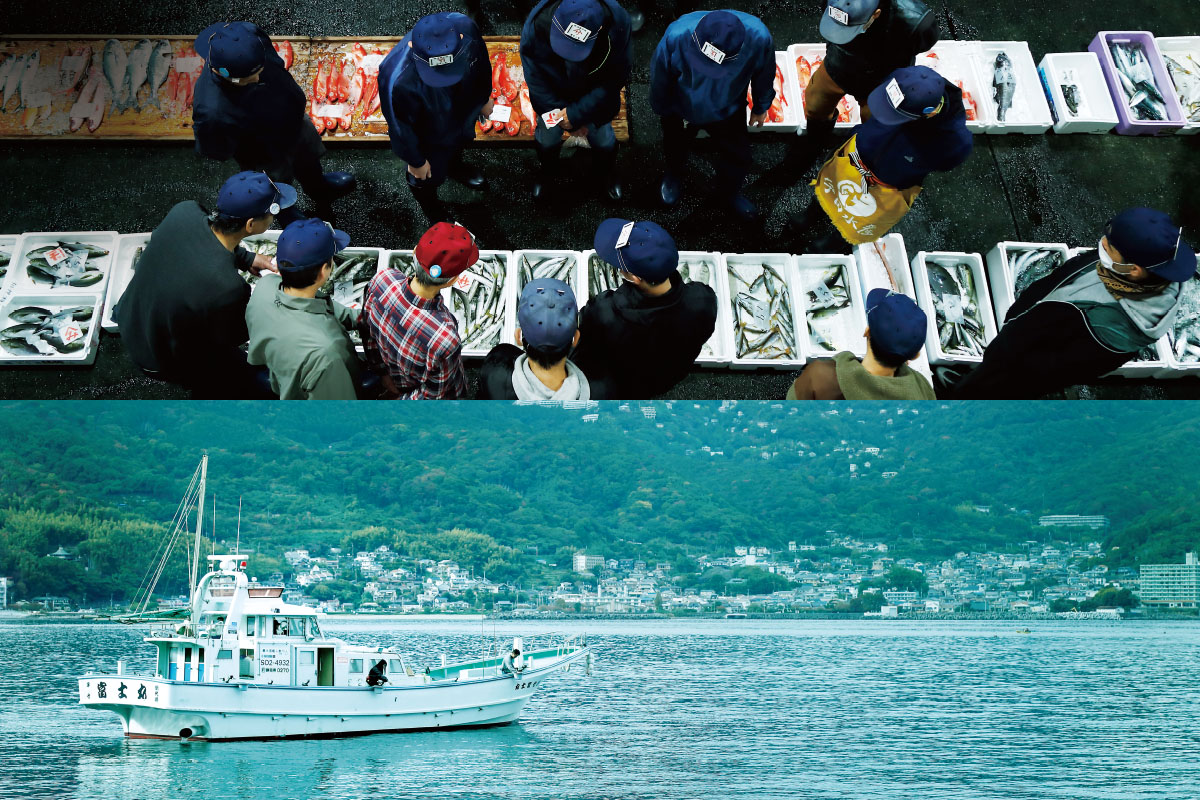自然・食育・エンターテインメント 漁師町熱海で魚体験