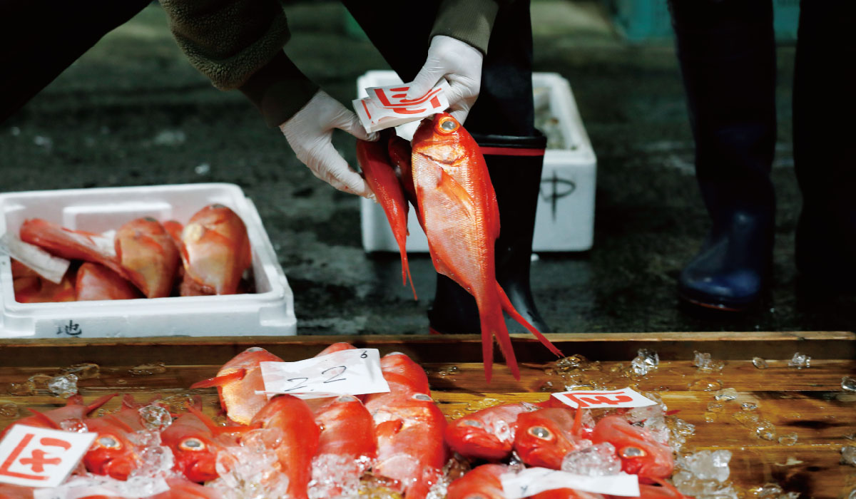 全国でもめずらしい町中にある魚市場 間近で繰り広げられるセリを見学