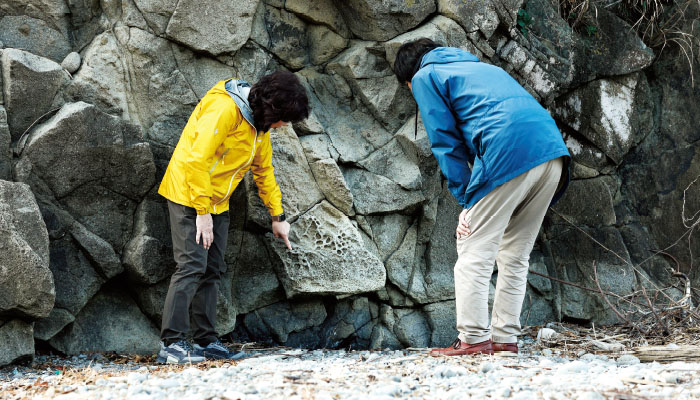 浮島海岸（ふとうかいがん）