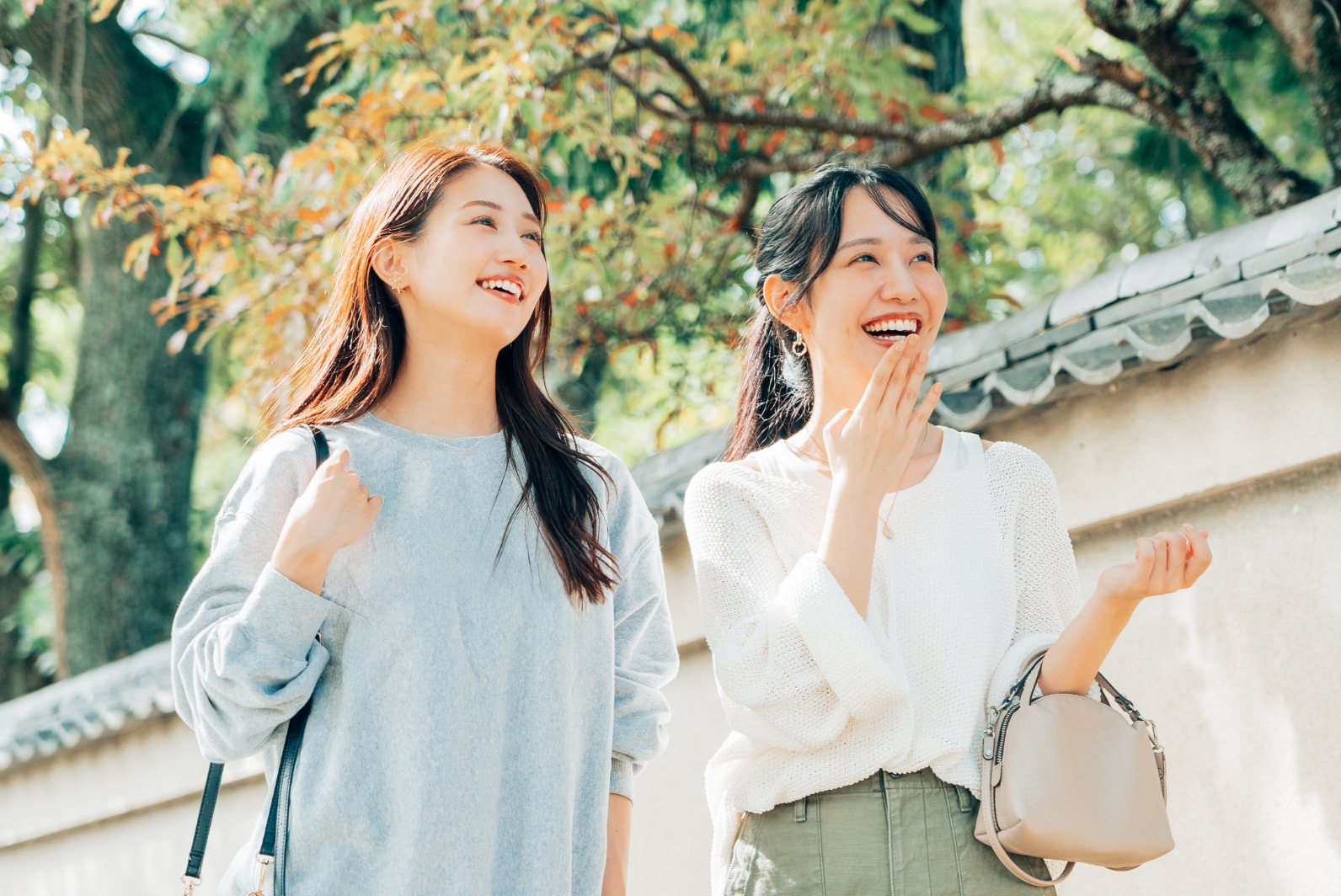 会員様が同行しなくても<br class='c-display-none-pc'>使っていただけます